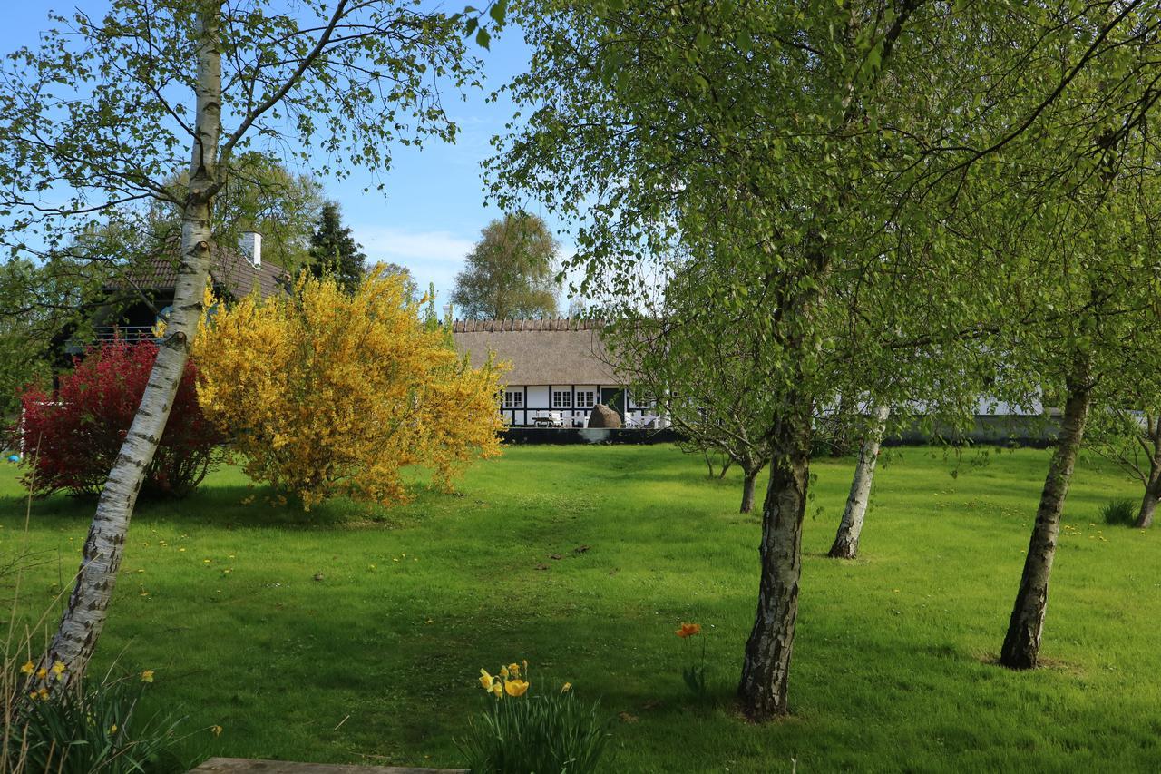 Birkelygaard Bed & Breakfast Hårby Εξωτερικό φωτογραφία